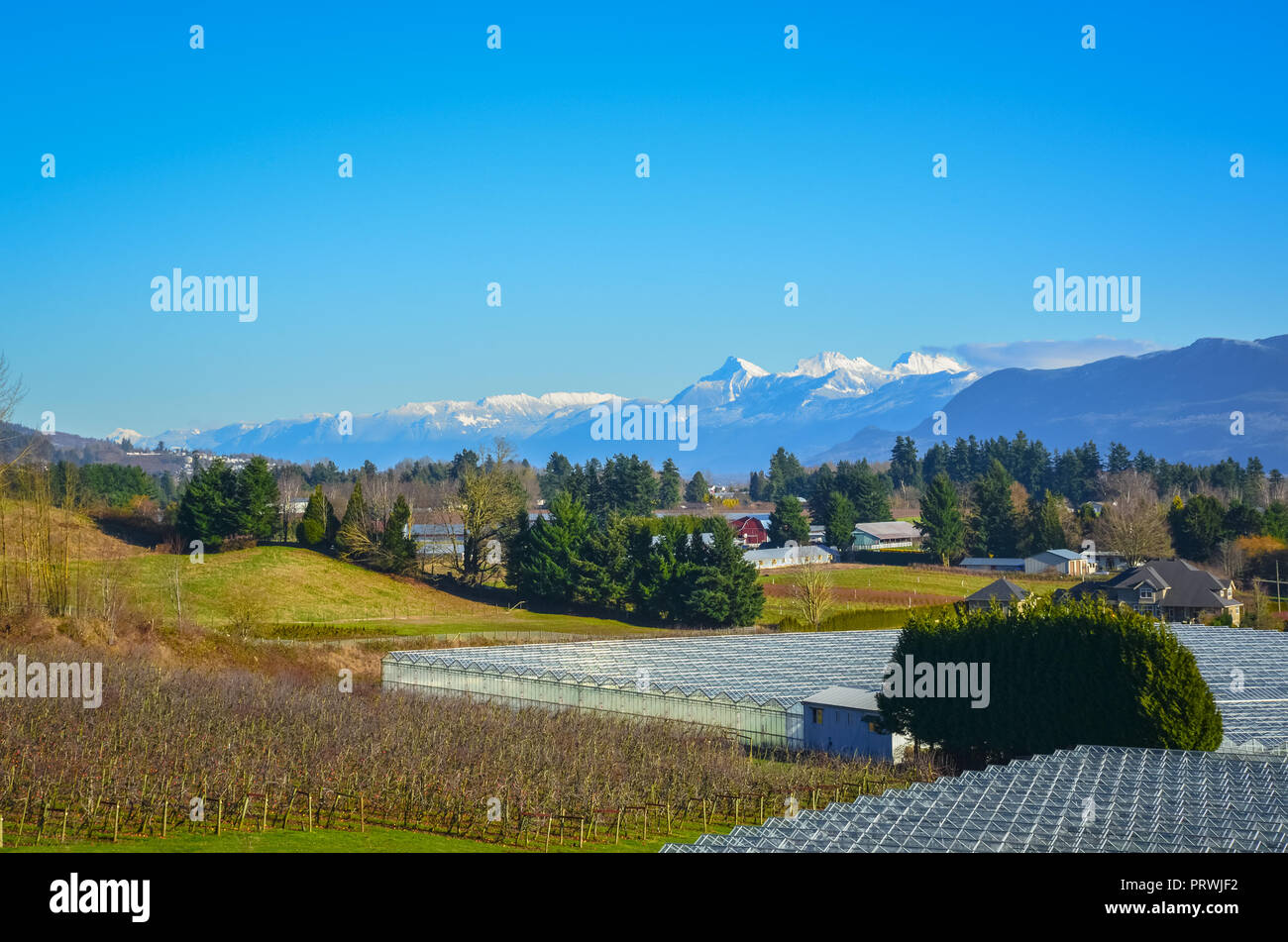 La saison d'hiver sur fruit farm dans une vallée. Vue sur une vallée avec des montagnes sur fond de ciel bleu Banque D'Images