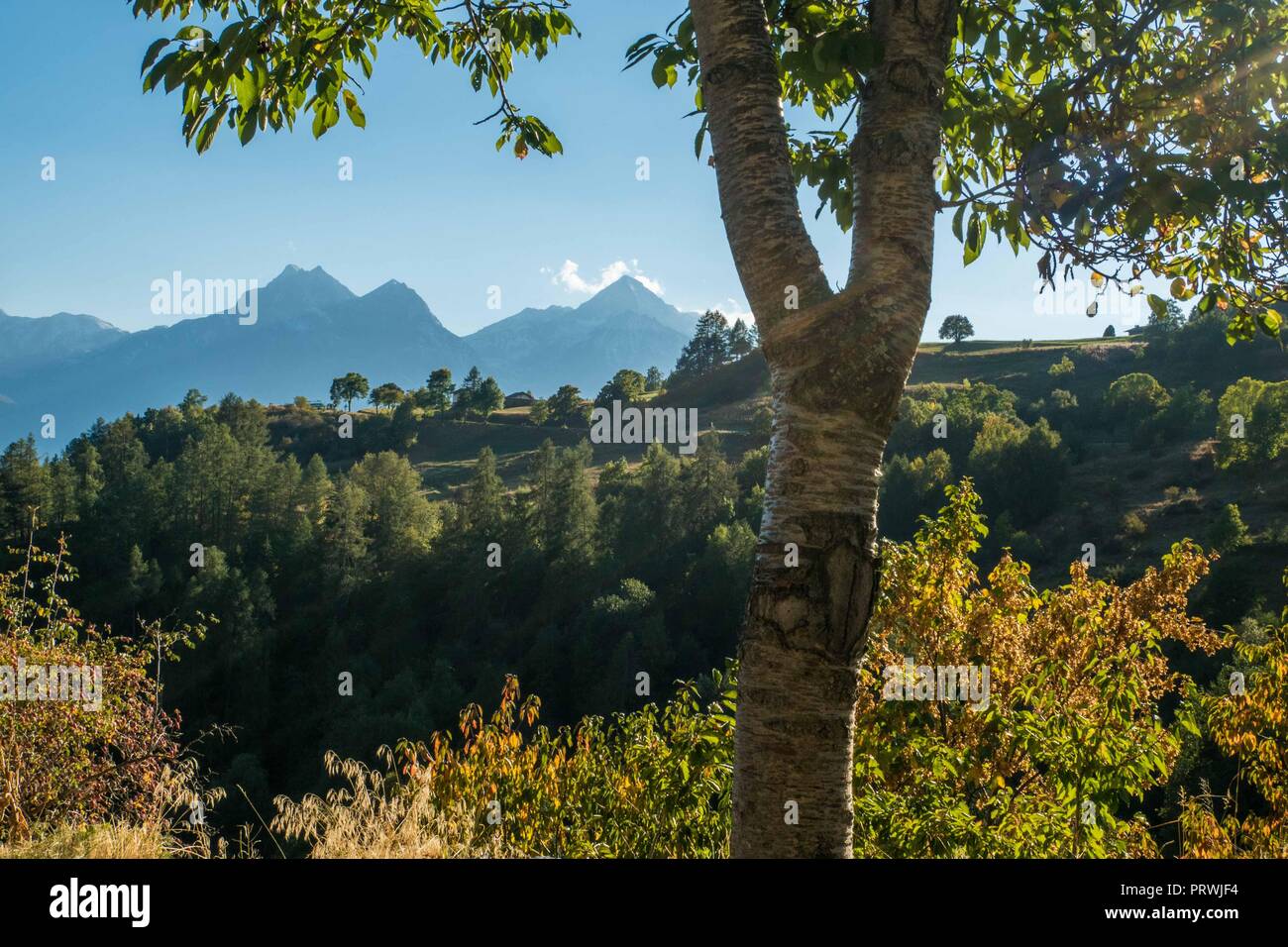 Scène alpine près du village de Lignan, vallée d'Aoste, NW Italie Banque D'Images