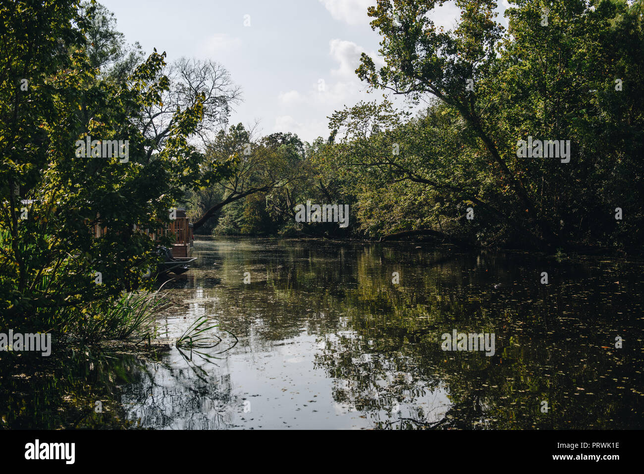 Visite des marais de La Nouvelle-Orléans Banque D'Images