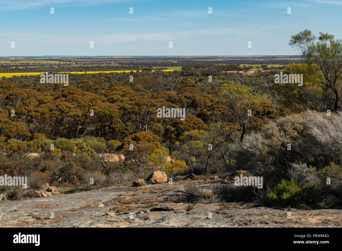 Mt Walker Rock, près de Hyden Banque D'Images