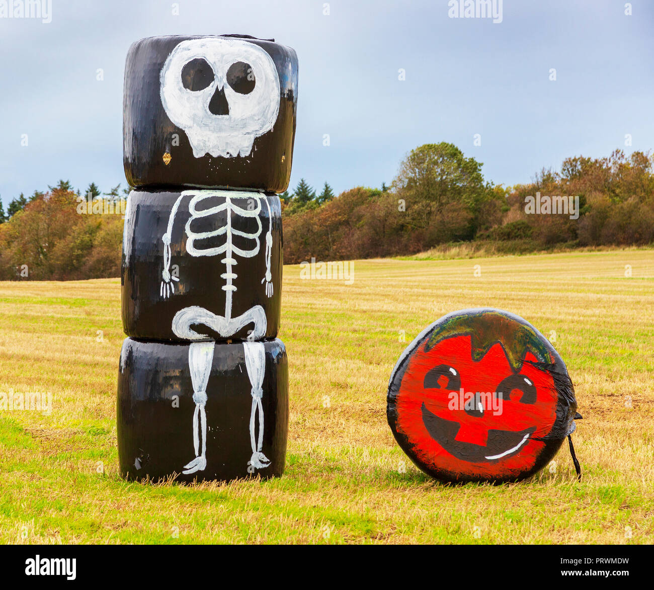L'Ayrshire, UK. 4ème Oct 2018. Croisée des Chemins Les jeunes agriculteurs ont utilisé la récente récolte Ensilage balles empilées dans un champ près de Symington, adjacent à l'Ayr à Glasgow A77 chaussée, peint pour divertir les navetteurs et leur rappeler que bientôt ce sera l'Halloween. Credit : Findlay/Alamy Live News Banque D'Images