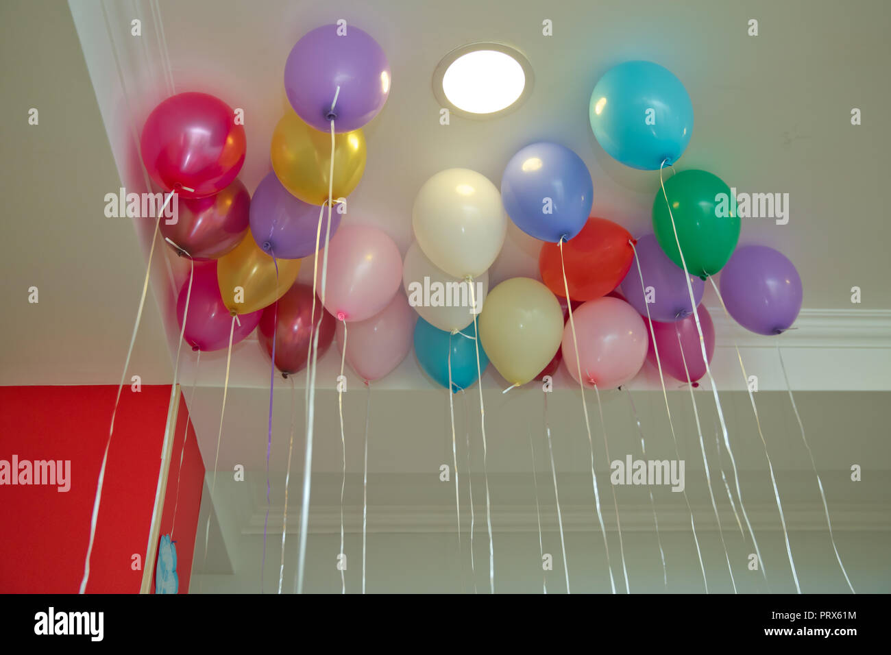 Ballons Colores Flottent Sur Le Plafond Blanc Dans La Chambre Pour Le Parti Un Mariage Ou Une Fete D Anniversaire Enfants Interieur Decoration Ballons A L Helium Photo Stock Alamy