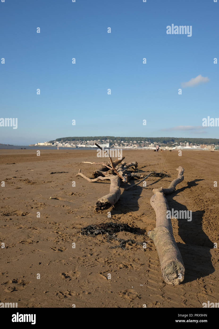 Octobre 2018 - dérive sur la plage à Weston super Mare, dans la région de Somerset du Nord. Banque D'Images