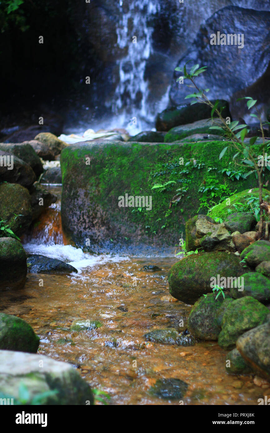 Bayan Wild Hot Springs, Yangmingshan, Taipei, Taiwan Banque D'Images