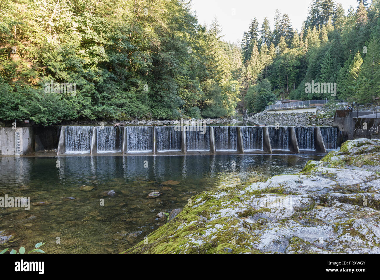 Déversoir en béton barrière qui empêche les saumons d'aller plus loin en amont lors de la ponte, sont plutôt orientées vers l'écloserie. North Van Banque D'Images