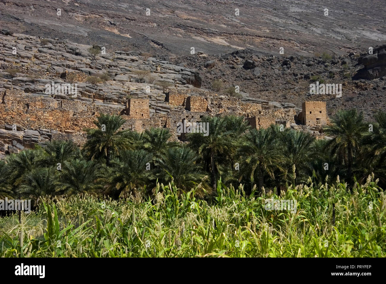 Oman sur la route Banque D'Images