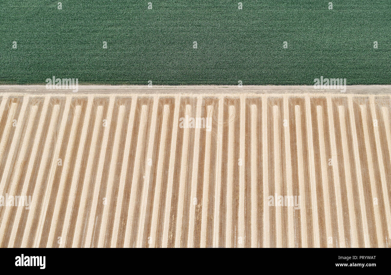 USA, Antenne d'un champ près de la ferme récolté un champ de maïs Banque D'Images