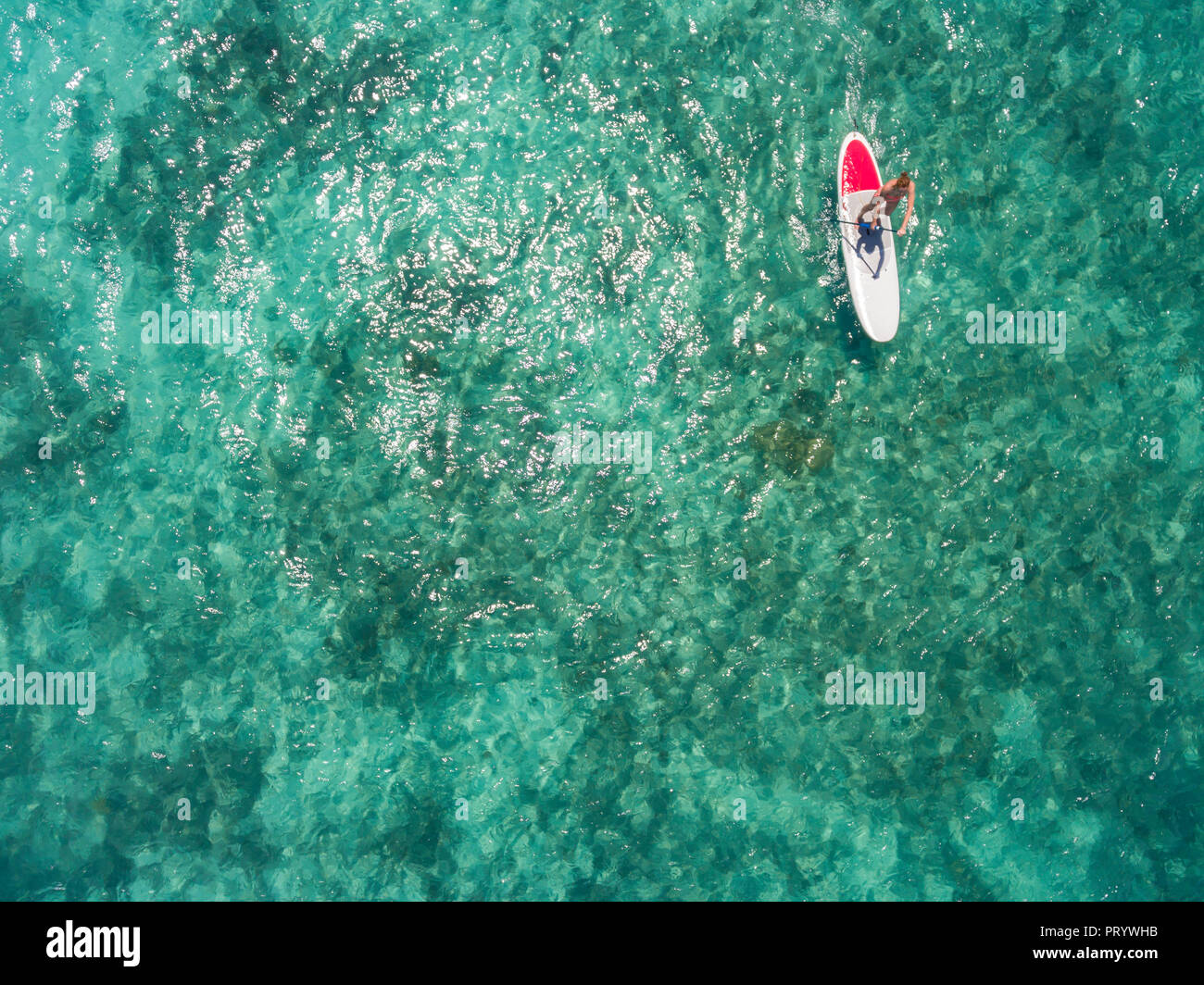 L'Ile Maurice, young woman on Stand up Paddling board Banque D'Images