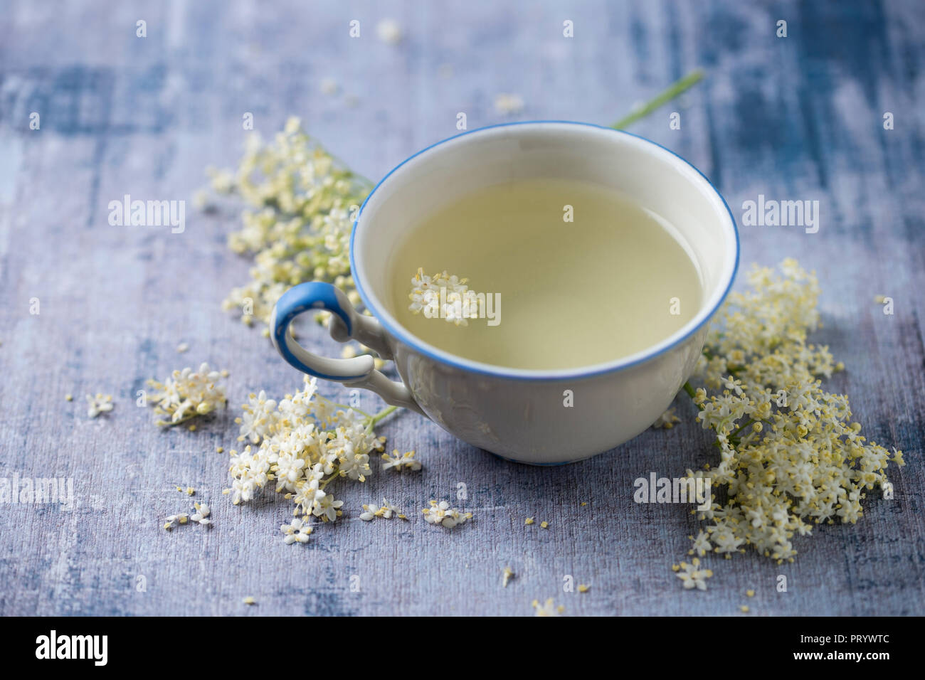 Tasse de thé fleur d'un Aîné Banque D'Images