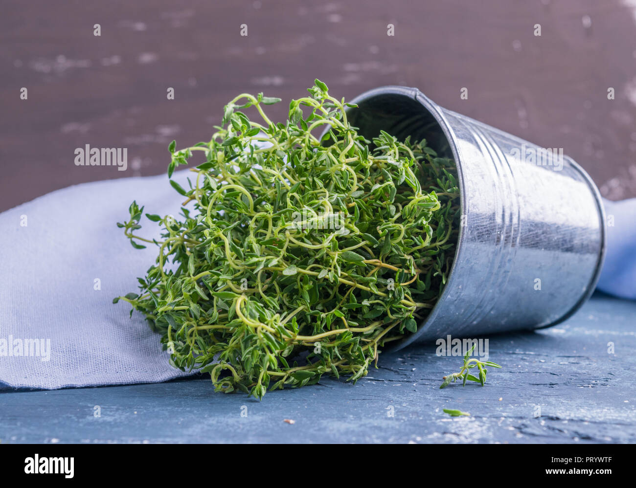 Le thym plante en petit godet décorative en métal. Des herbes fraîches pour la cuisine. Banque D'Images