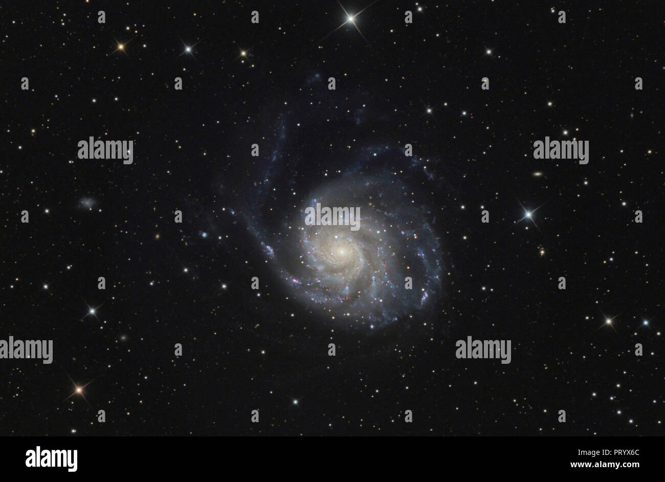 L'astrophotographie, galaxie spirale Messier 101, ou galaxie Pinwheel Banque D'Images