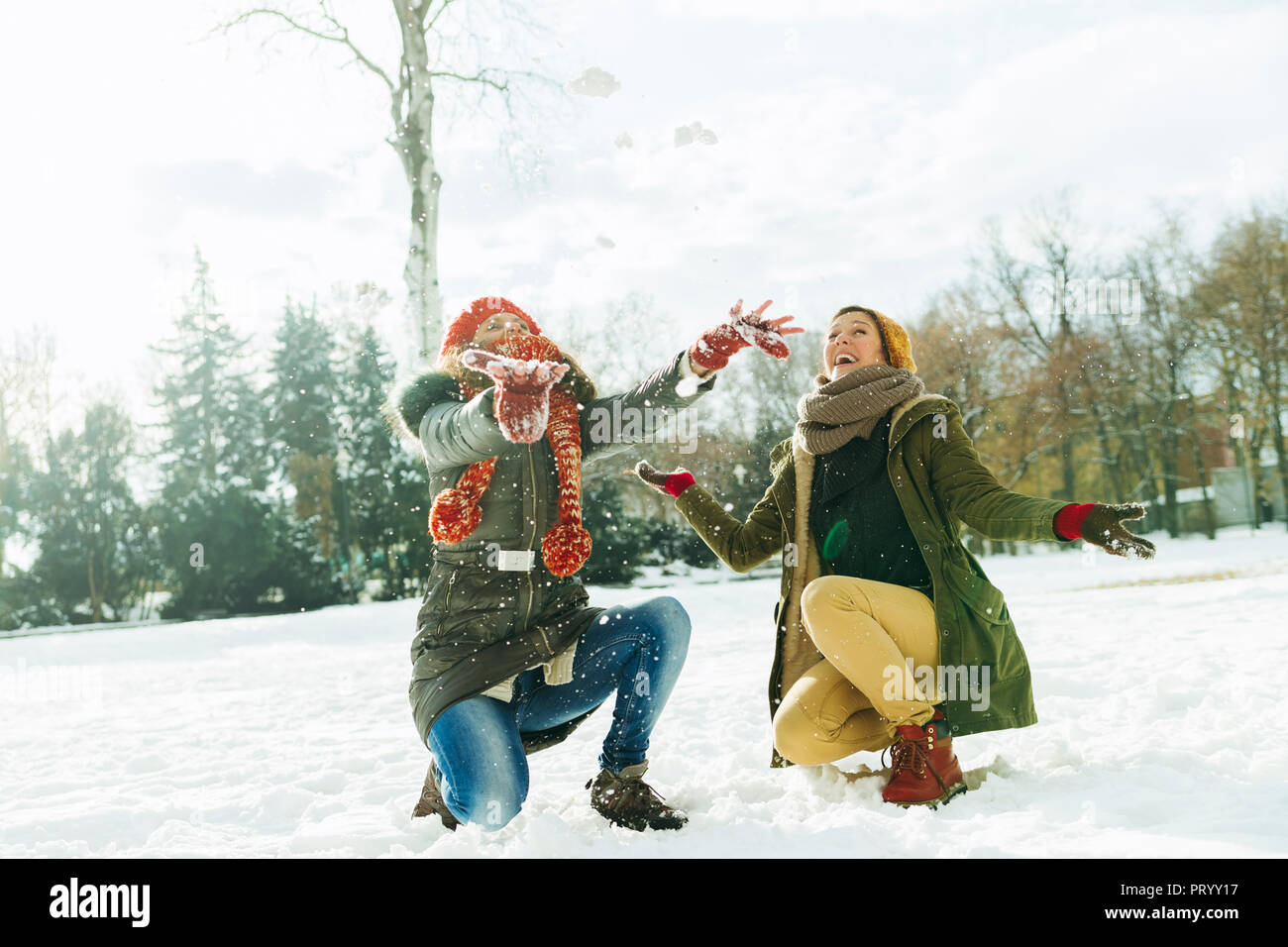 Deux meilleurs amis dans la neige Banque D'Images