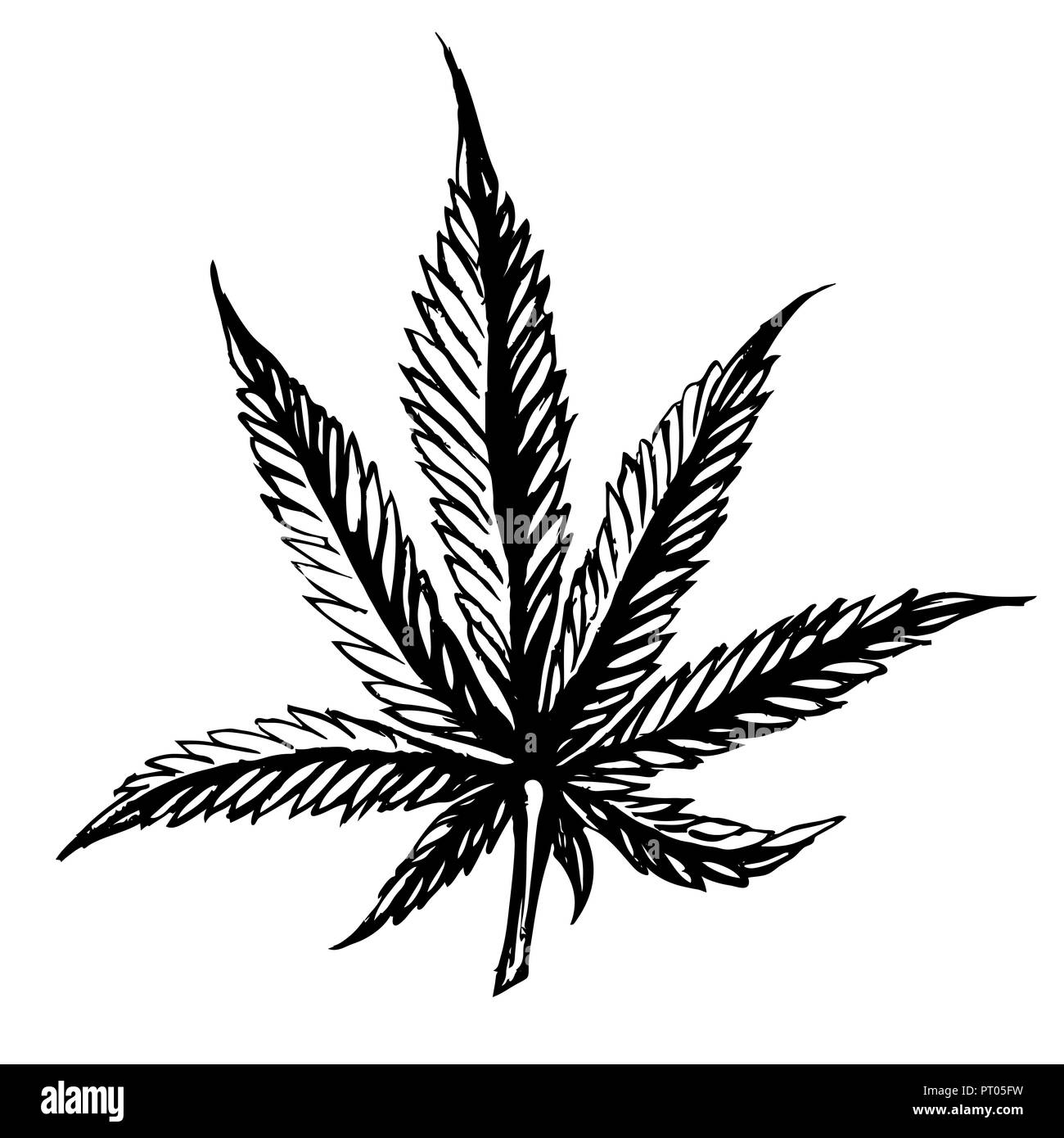 Feuilles de marijuana. Isolé à la main les illustrations sur fond d'aquarelle. Banque D'Images