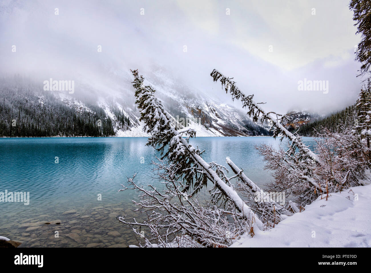 Lake Louise, Banff National Park, Canada Banque D'Images