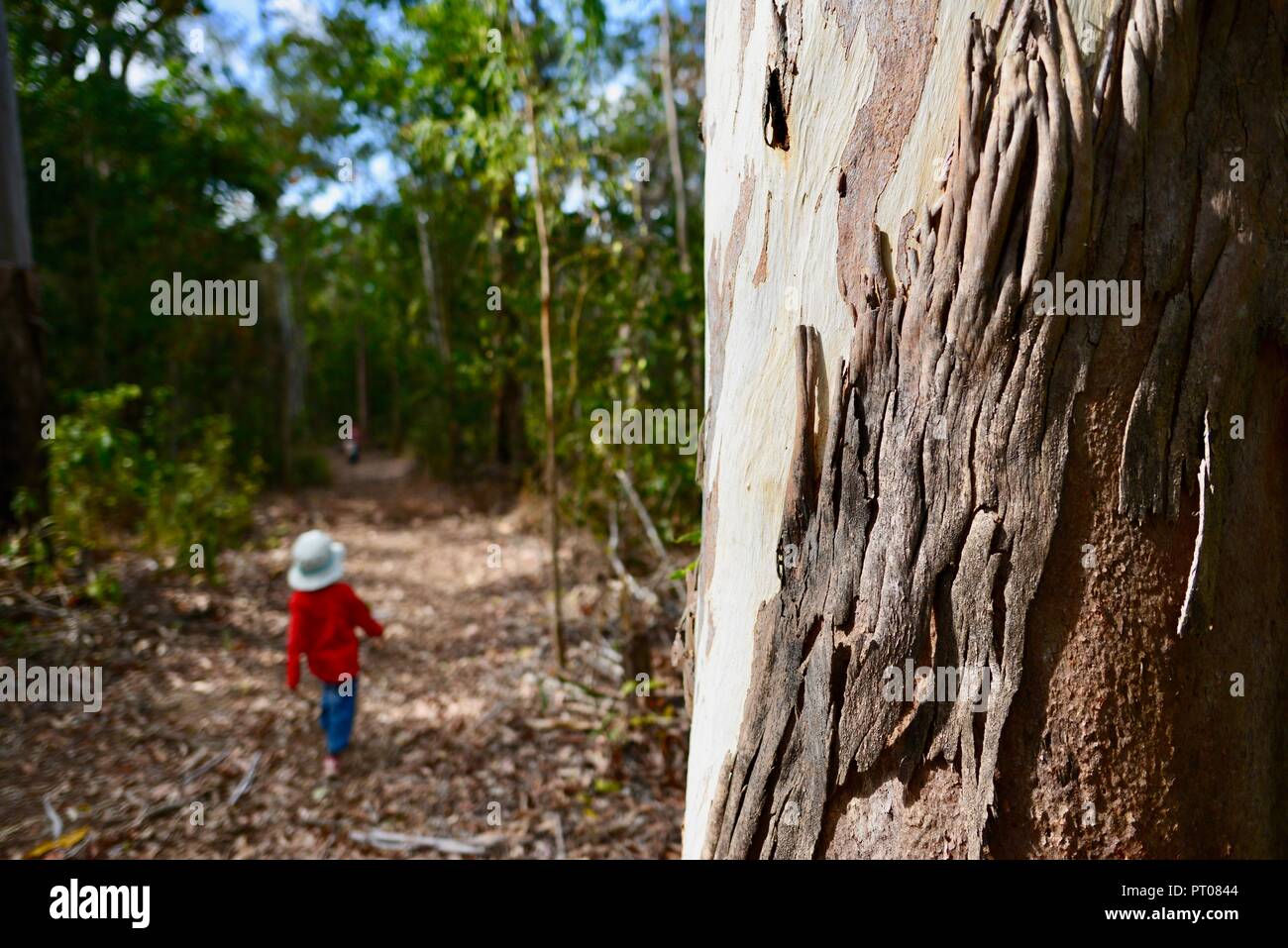 Un jeune enfant porter du rouge marche à travers une forêt, Dalrymple gap, Queensland, Australie Banque D'Images