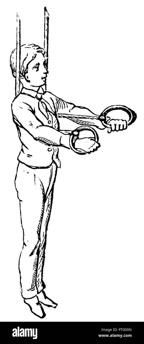 La gymnastique, exercices sur les anneaux de bascule : les étirements avec raccourcissement, 1890 Banque D'Images
