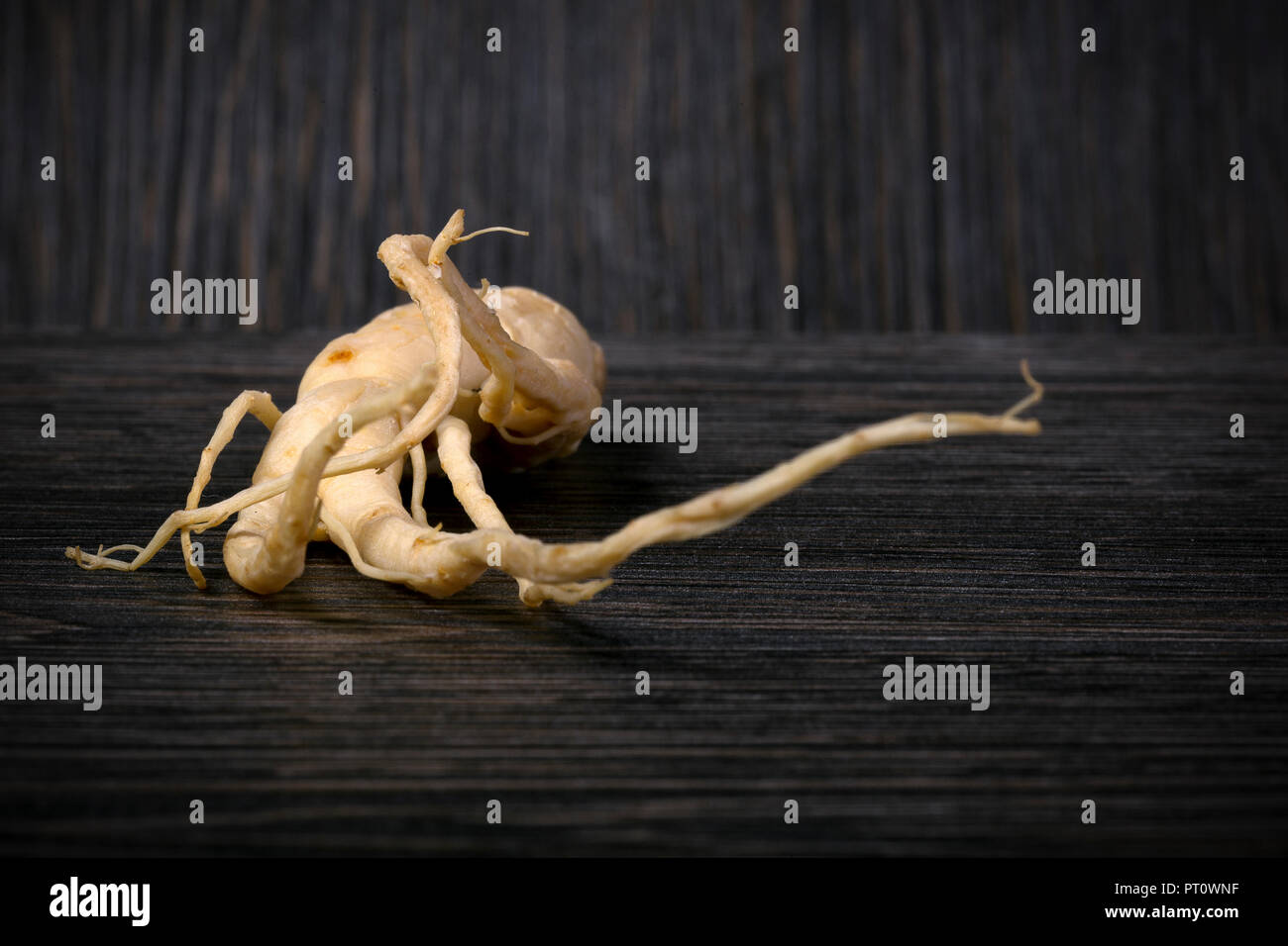 Ginseng sur un fond en bois brun avec un espace réservé au texte Banque D'Images