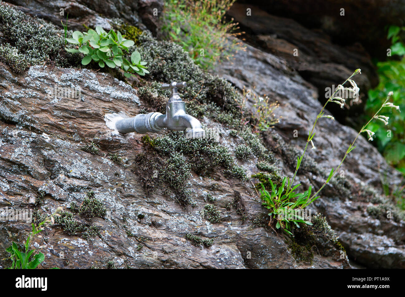 L'Autriche, Carinthie, Bad Kleinkirchheim, appuyez sur le mur de roche, printemps de guérison Banque D'Images
