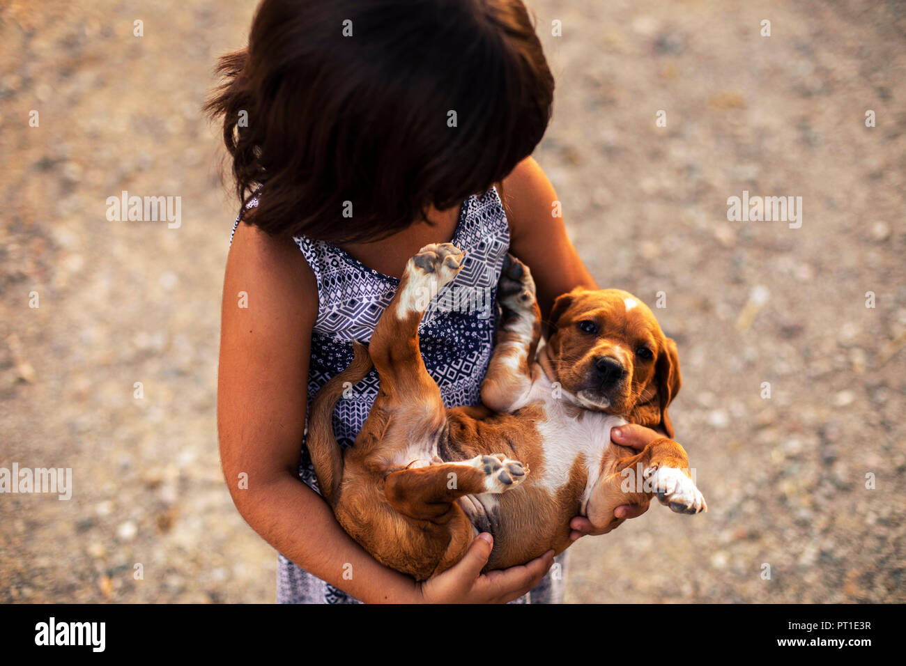 Girl holding chiot dans ses bras Banque D'Images