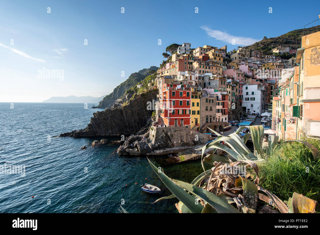 L'Italie, Ligurie, La Spezia, Cinque Terre National Park, Riomaggiore Banque D'Images