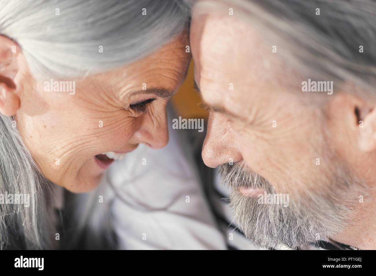 Portrait d'un couple affectueux Banque D'Images