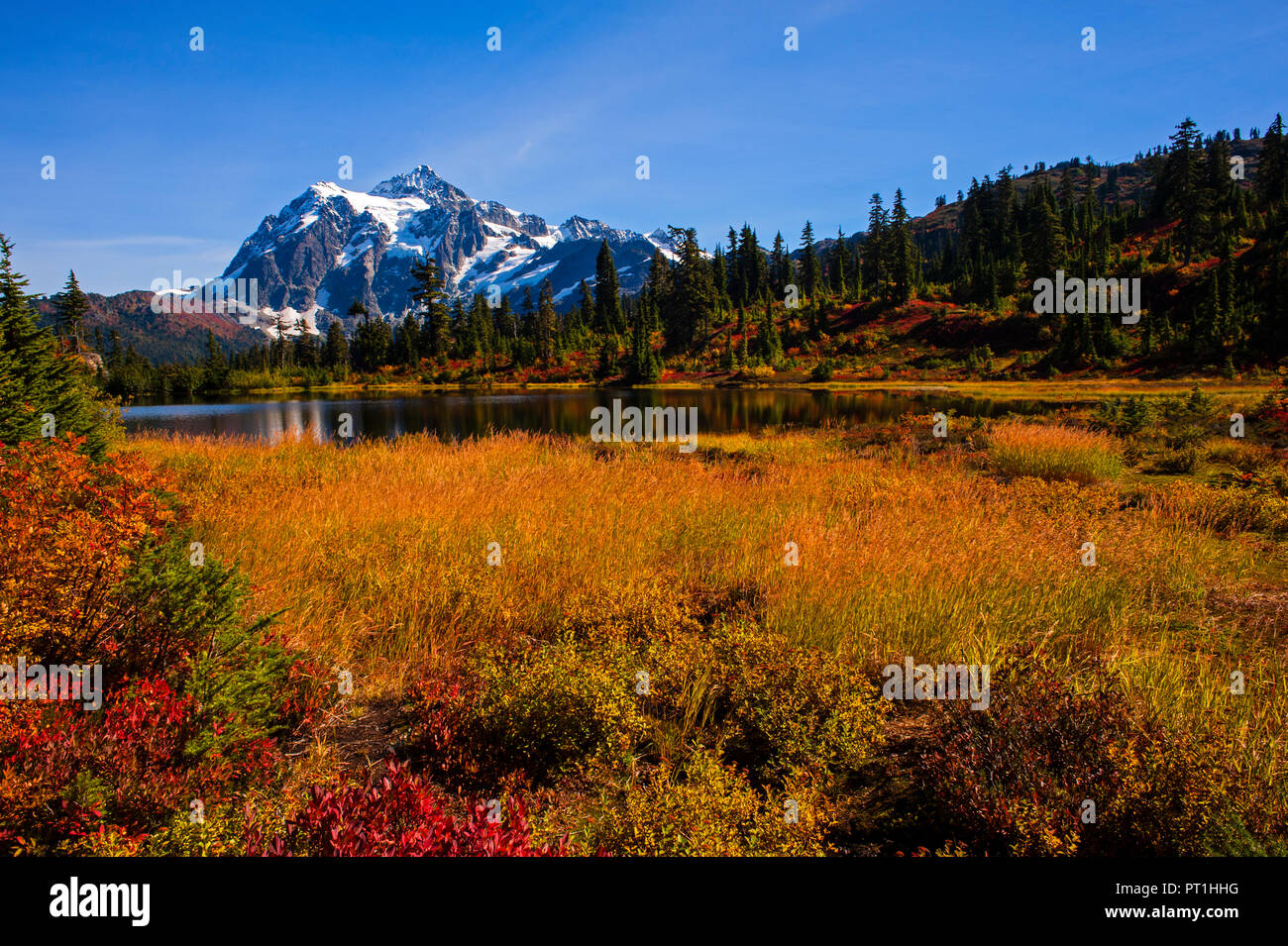 Photo Lac aux couleurs de l'automne et le Mont Shuksan en arrière-plan reflétée dans le lac de montagne l'État de Washington, USA Banque D'Images