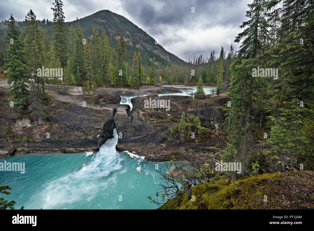 La rivière et le pont naturel, Britsh Columbia, Yoho NP, Canada Banque D'Images