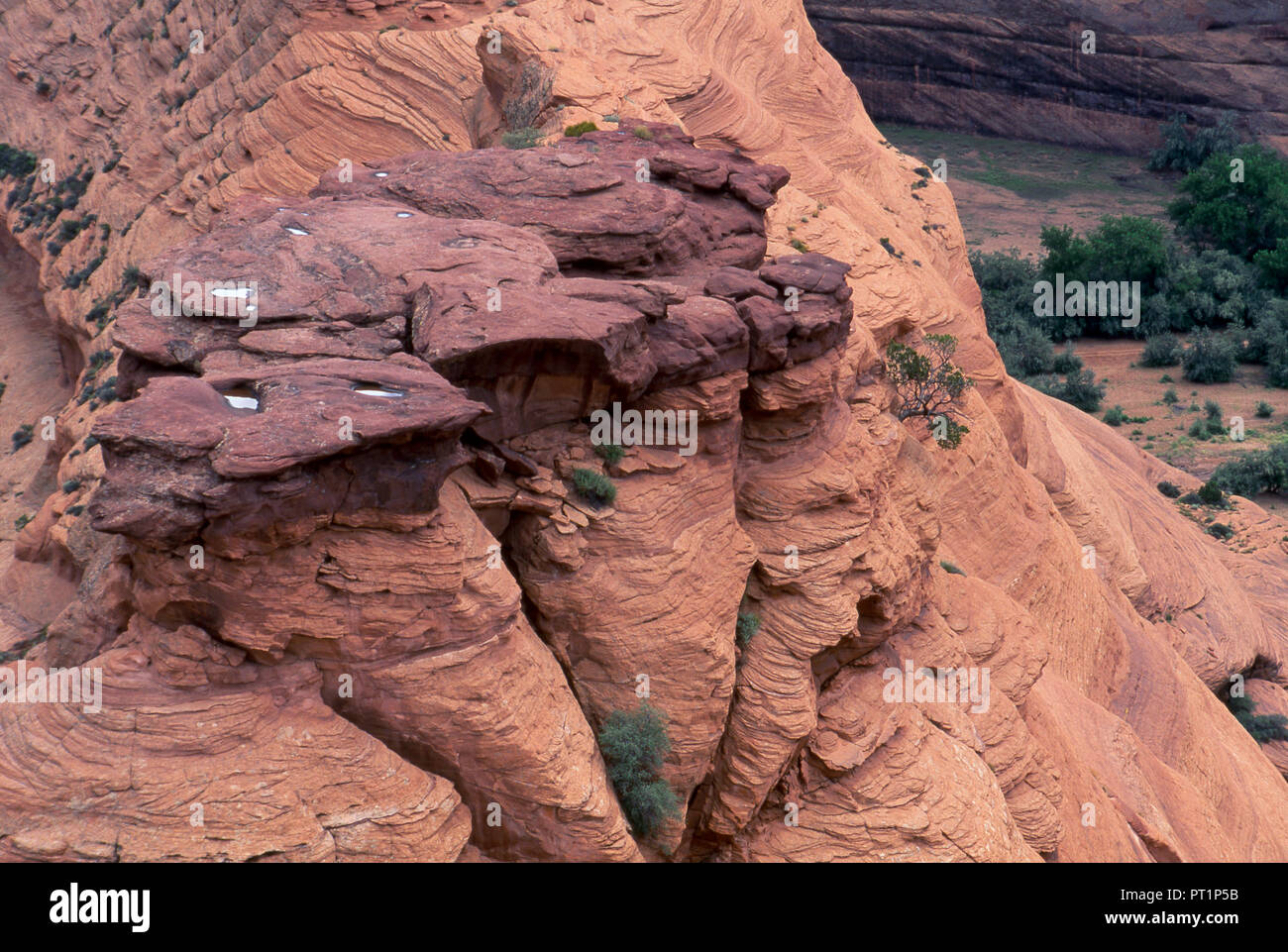 L'eau de pluie dans des bassins en grès, Canyon de Chelly, Arizona. Photographie Banque D'Images