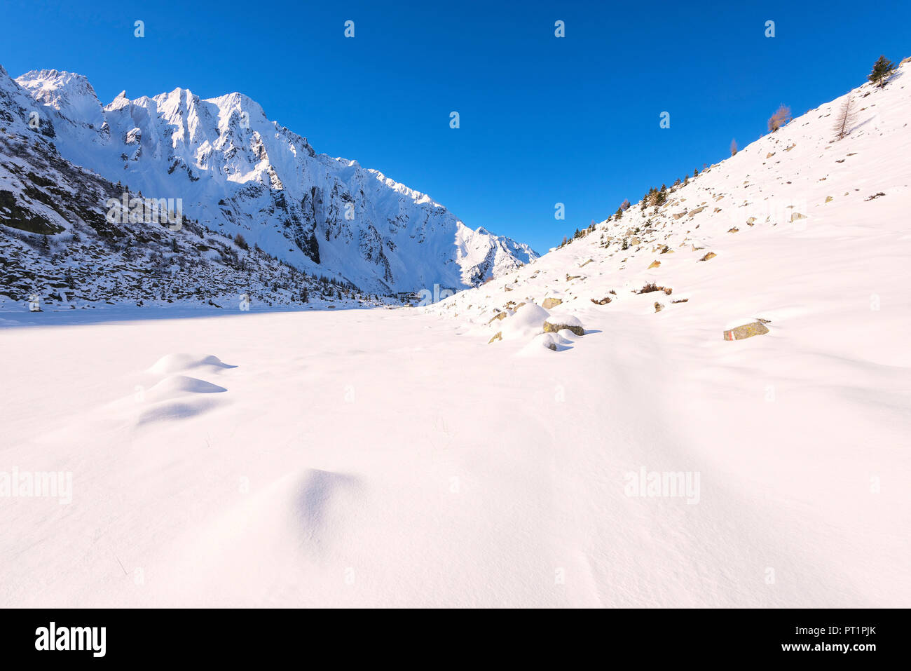 La saison d'hiver au parc de l'Adamello, Vallée Adamè, province de Brescia, Lombardie, Italie, Banque D'Images