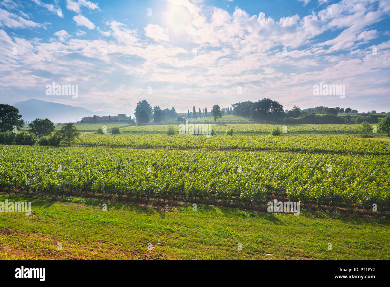 La Franciacorta, district de Lombardie, Province de Brescia, Italie, Banque D'Images