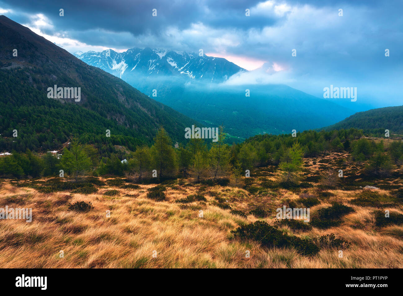 Lever du soleil dans le parc national de Stelvio en province de Brescia, Lombardie, Italie, district Banque D'Images