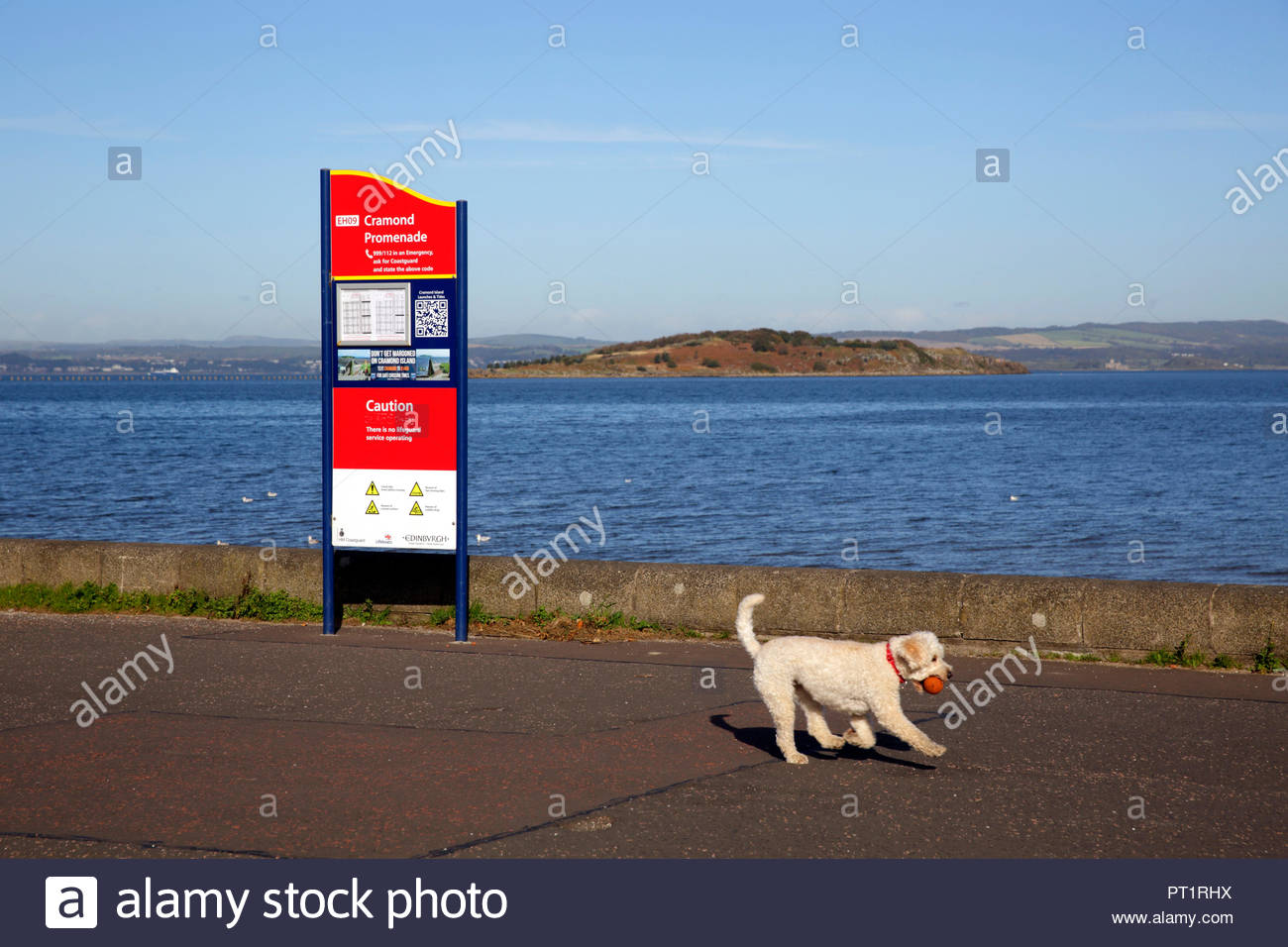 Edinburgh, Royaume-Uni, le 5 octobre 2018. La récupération de la balle chien et profiter du beau temps avec un ciel bleu à Cramond, Promenade. L'île de Cramond visible. Credit : Craig Brown/Alamy Live News. Banque D'Images