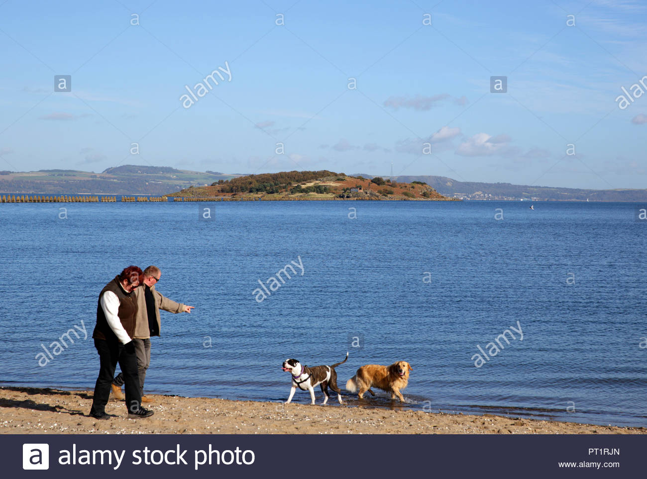 Edinburgh, Royaume-Uni, le 5 octobre 2018. Promenade de chiens sur la plage de Cramond profitant du beau temps avec un ciel bleu à Cramond, Promenade. L'île de Cramond visible. Credit : Craig Brown/Alamy Live News.man Banque D'Images