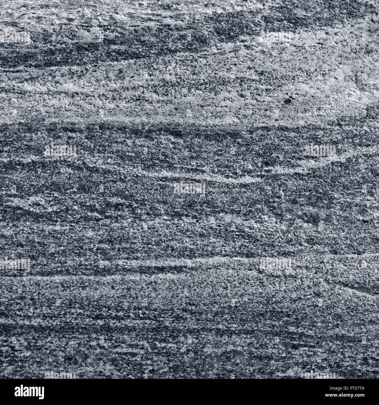 Gneiss migmatitiques de rock de migmatite, pattern light dark gris granit bagués macro closeup texture texture détaillée, grande horizontale gris argent Banque D'Images