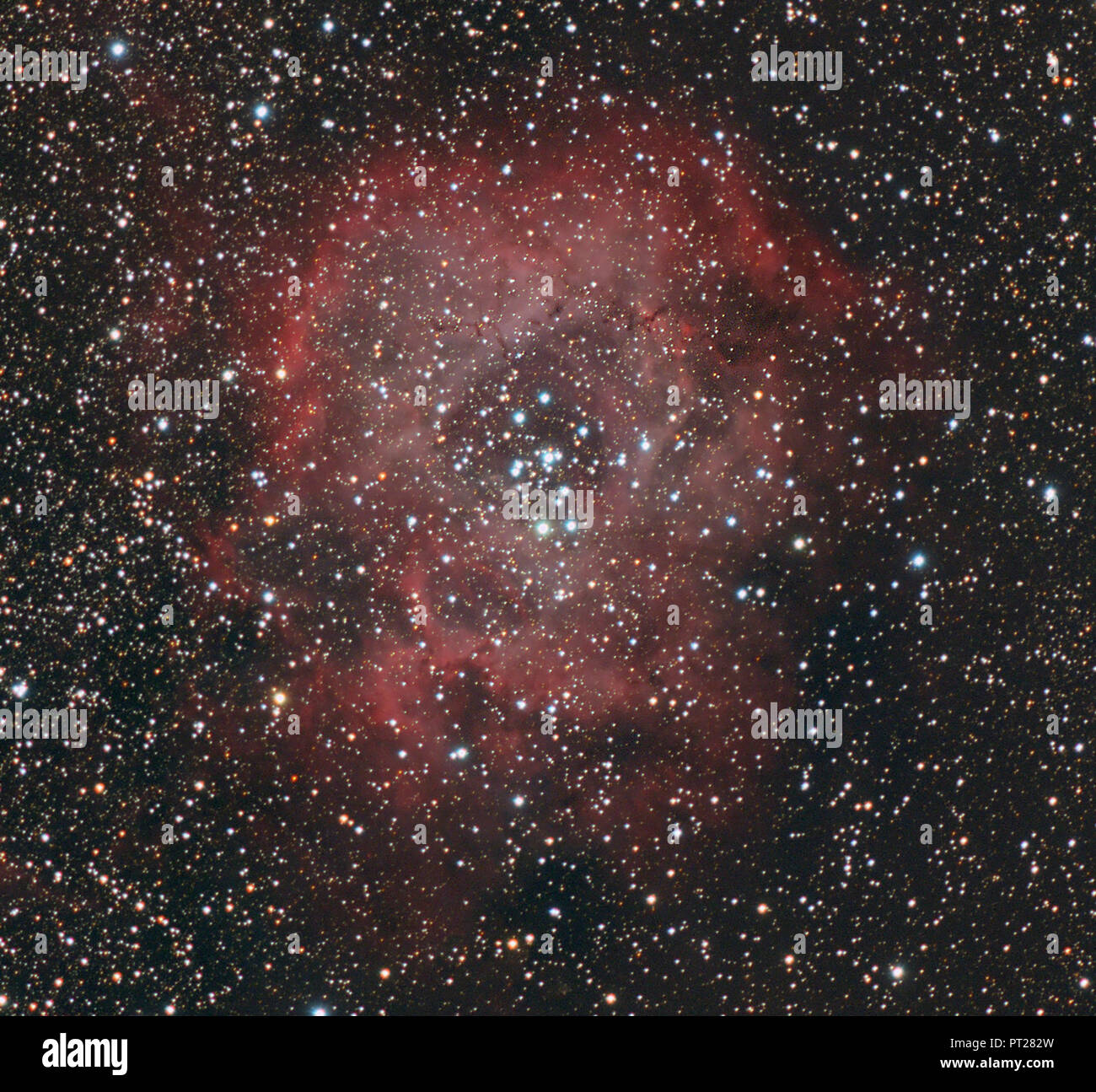 Et de l'astrophotographie, nébuleuse NGC 2237 ou nébuleuse de la Rosette Banque D'Images