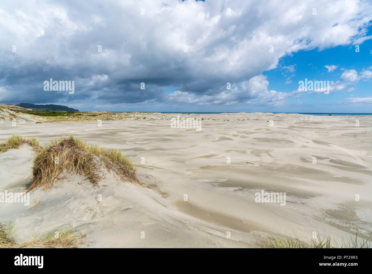 Dunes de sable de Farewell Spit, réserve naturelle de Puponga, district de Tasmanie, île du Sud, Nouvelle-Zélande, Banque D'Images