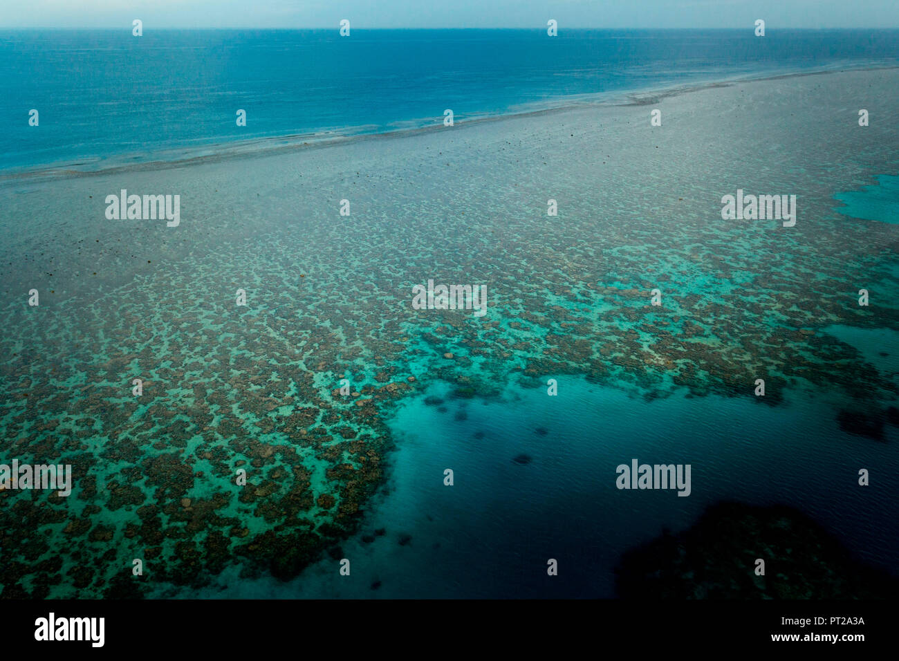 Grande Barrière de Corail, Queensland, Australie, vue aérienne Banque D'Images