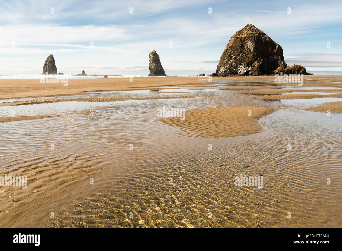 Côte du Pacifique, Cannon Beach, Haystack Rock, marée basse Banque D'Images