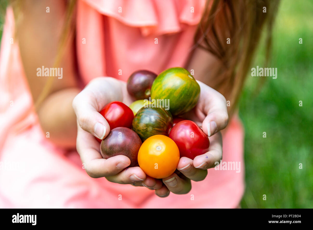 Girl holding tomates colorées dans la main Banque D'Images