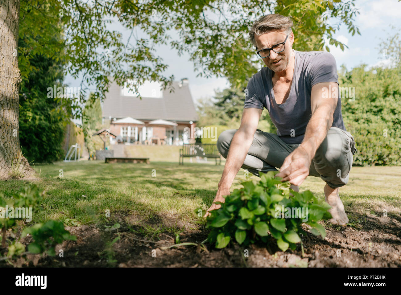 Homme mûr jardinage au jardin de sa maison Banque D'Images