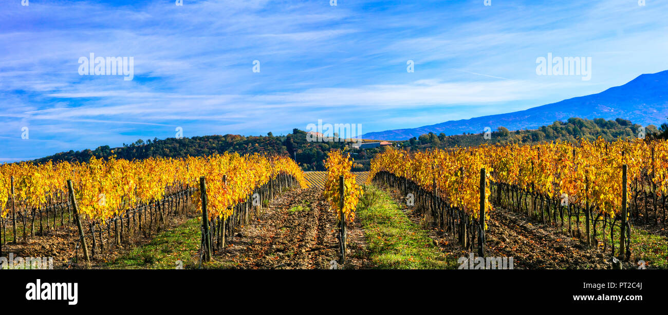 Paysage d'automne impressionnant,avec vue sur vignes colorées,région du Chianti, Toscane,Italie. Banque D'Images