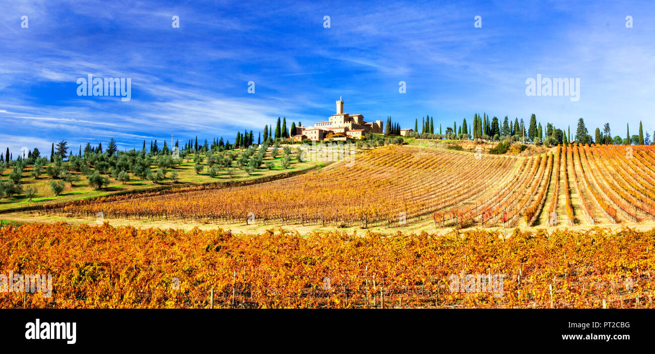 Beau vieux château Banfi,avec vue sur les vignes et les cyprès près de Montalcino,Toscane,Italie. Banque D'Images