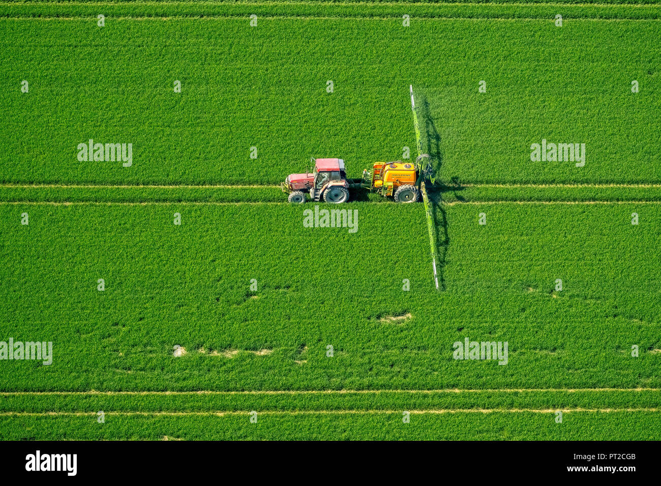 La pulvérisation de pesticides du tracteur sur un champ de blé vert, de l'agriculture, de Warstein, Sauerland, Nordrhein-Westfalen, Germany, Europe Banque D'Images