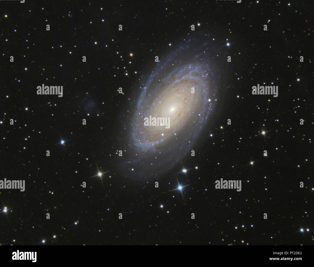 L'astrophotographie, galaxie spirale Messier 81, ou la galaxie de Bode Banque D'Images