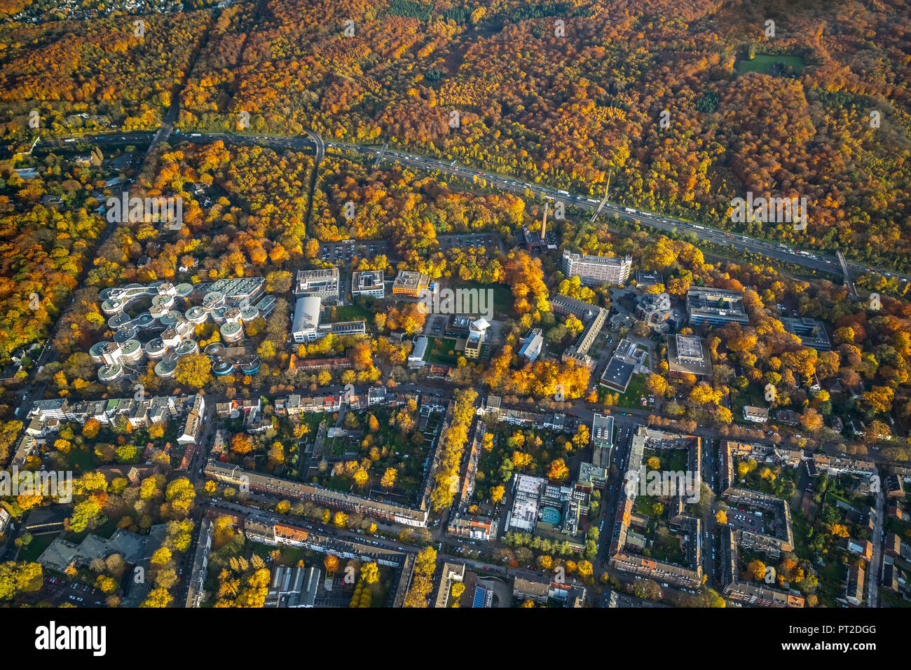 L'Université de Duisburg-Essen, UDE, 'Keksdosen', fusion de l'université de Duisburg Gerhard-Mercator et le University-Gesamthochschule Essen, en automne, les feuilles d'automne, Duisburg, Ruhr, Rhénanie du Nord-Westphalie, Allemagne Banque D'Images