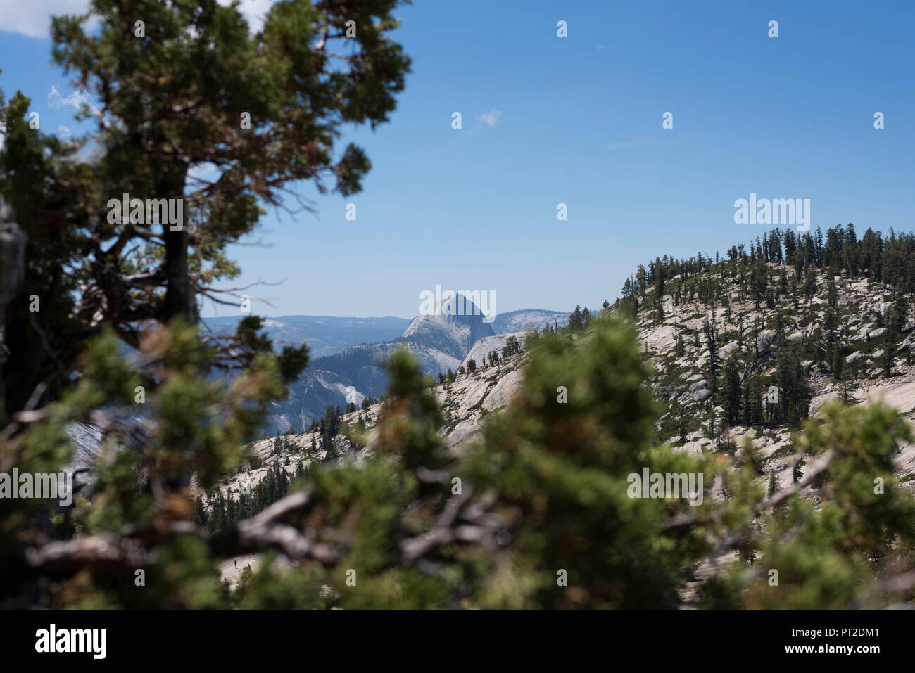 USA, au sud-ouest, en Californie, Tioga Pass, Tioga Pass Road, Banque D'Images