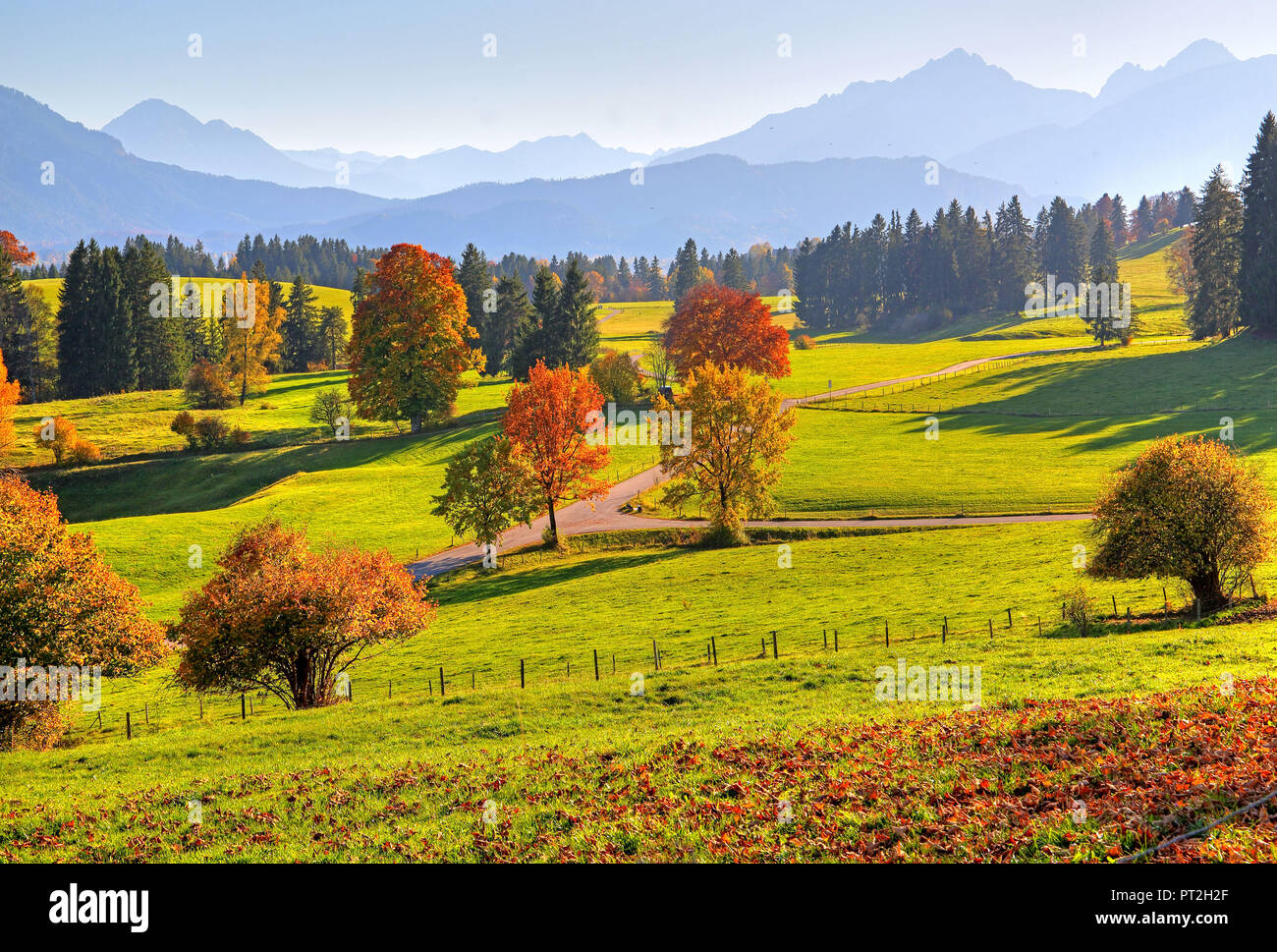 Les paysages alpins à Roßhaupten, Ostallgäu, Bavière, Allemagne Banque D'Images