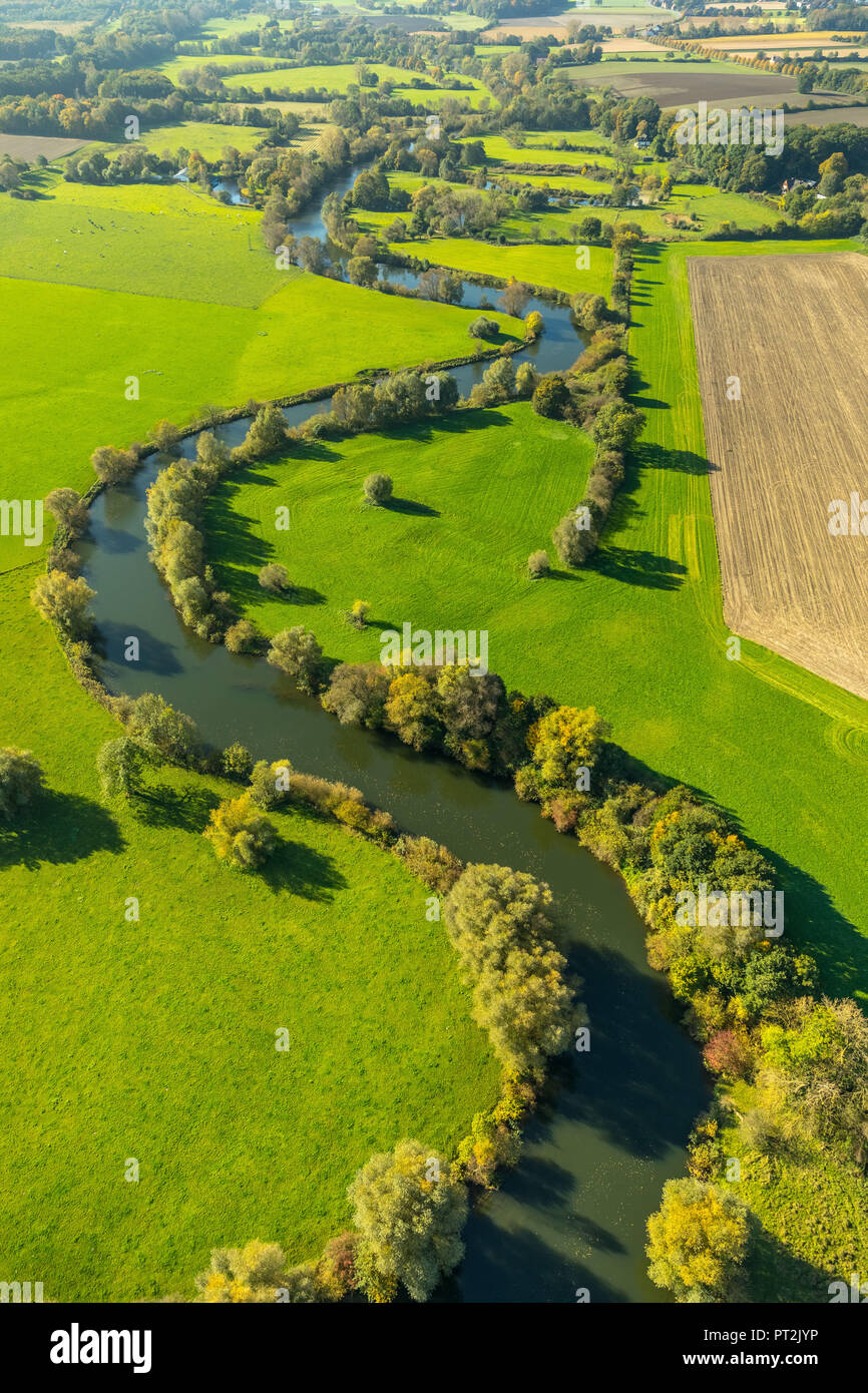 Méandre de la rivière Lippe, Lippe sur la ville frontière entre Werne et Bergkamen, Lippe d'inondation, meadows, réserve naturelle, Bergkamen, Ruhr, Rhénanie du Nord-Westphalie, Allemagne Banque D'Images