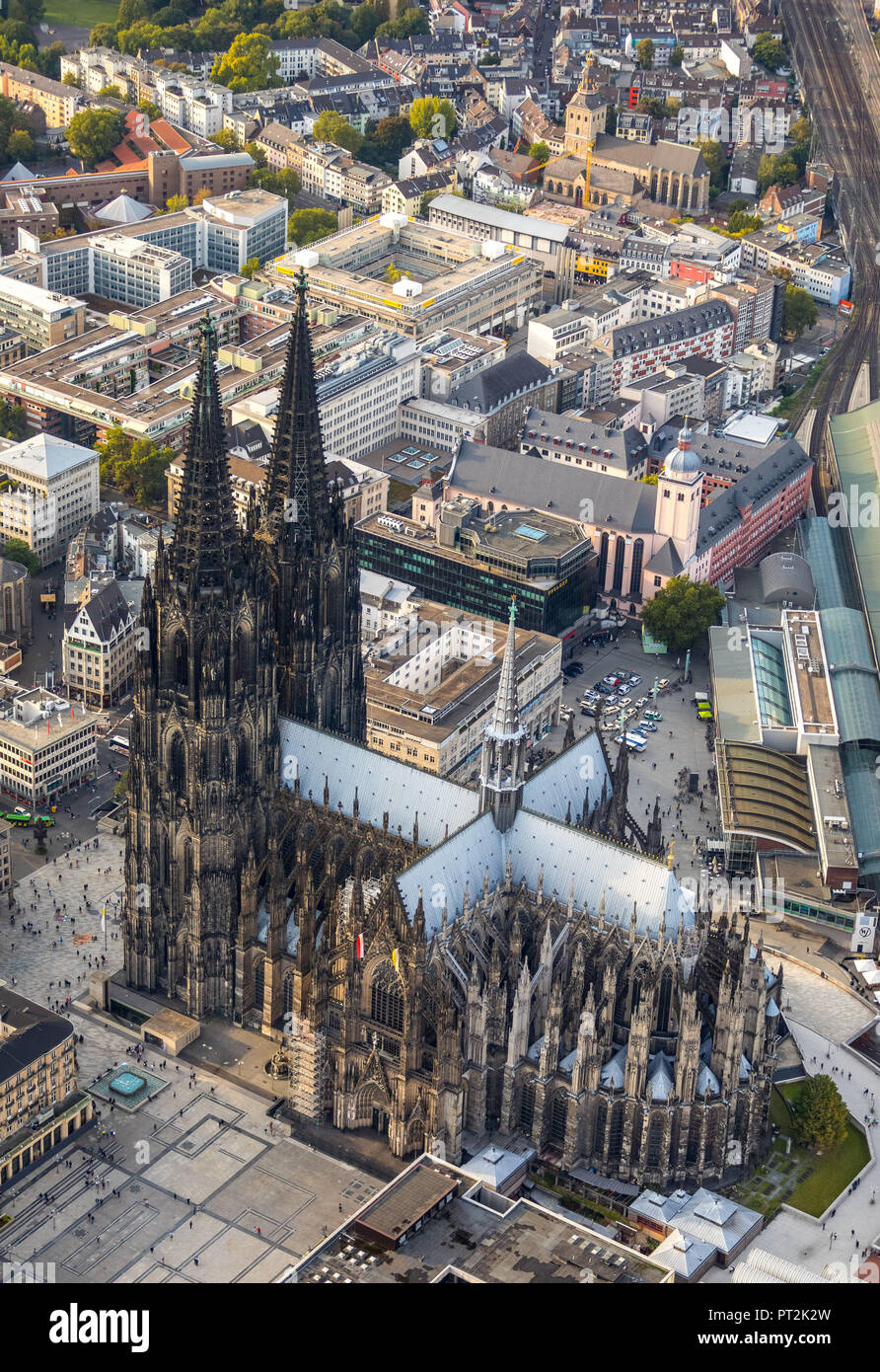 La cathédrale de Cologne, Cologne-Mitte, Domplatte, à côté du musée romain-germanique, Cologne, Rhénanie du Nord-Westphalie, Allemagne, Banque D'Images