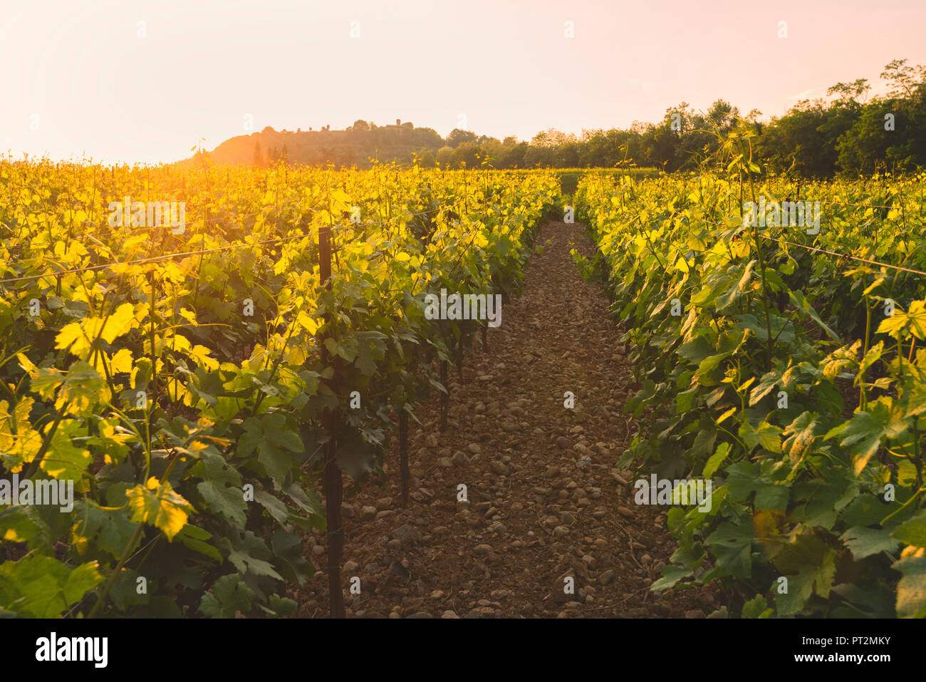 La Franciacorta, district de Lombardie, Province de Brescia, Italie, Banque D'Images